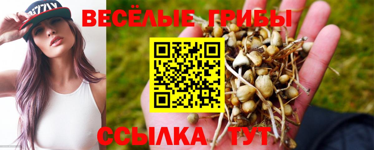 Псилоцибиновые грибы прущие грибы  Галлюциногенные грибы GOLDEN TEACHER  Киреевск  Вход с VPN 